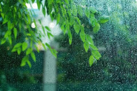 梅雨の雨漏り対策できていますか？屋根工事依頼はヤマゾエへ
